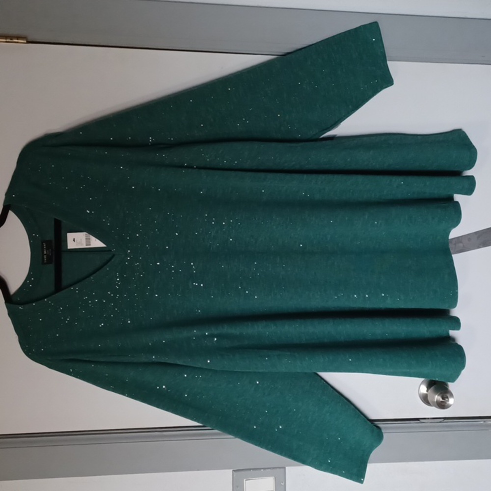 NWT Plus-Size Swing Sparkle V-Neck Tunic!